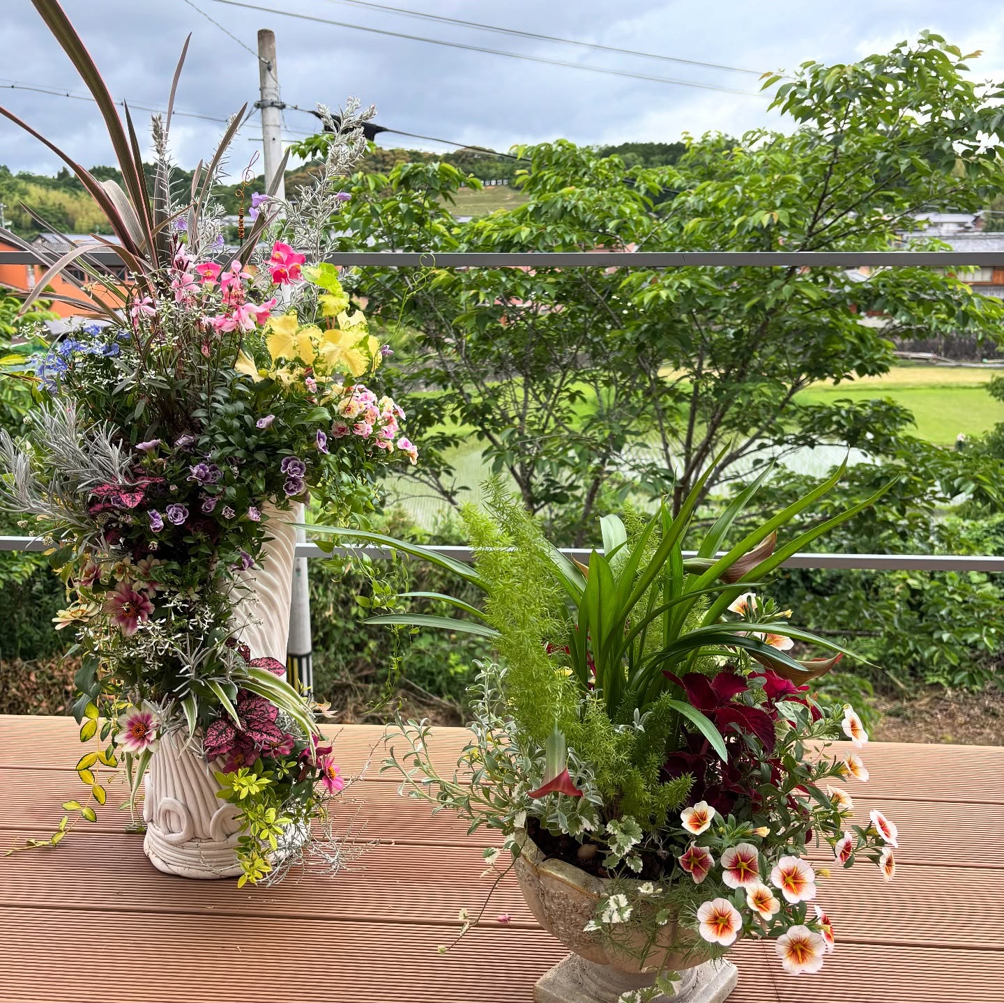 初めての 「さとぶら」