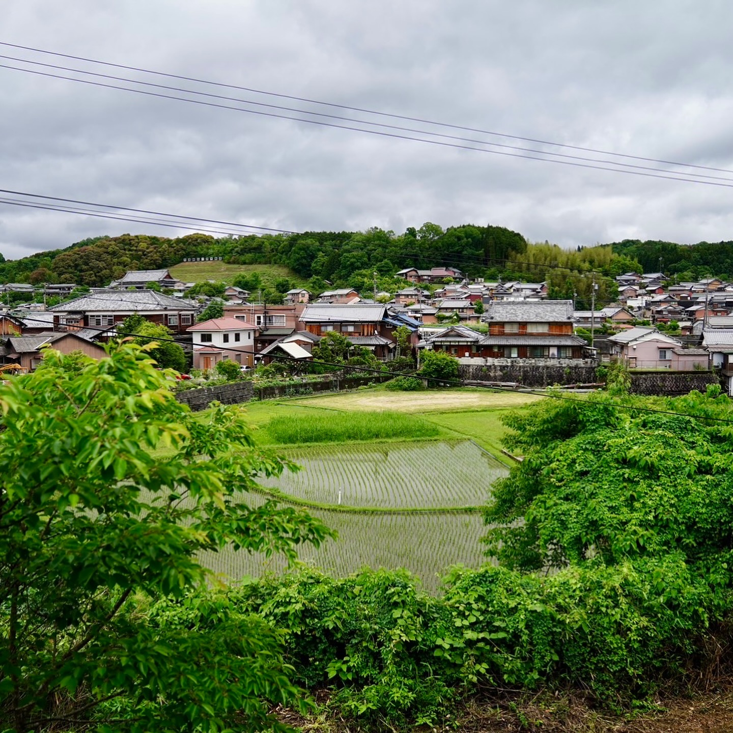 初めての 「さとぶら」