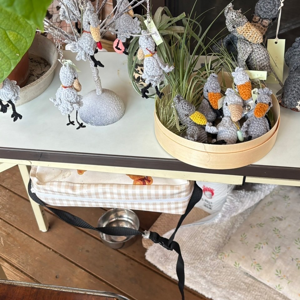 初めての 「さとぶら」