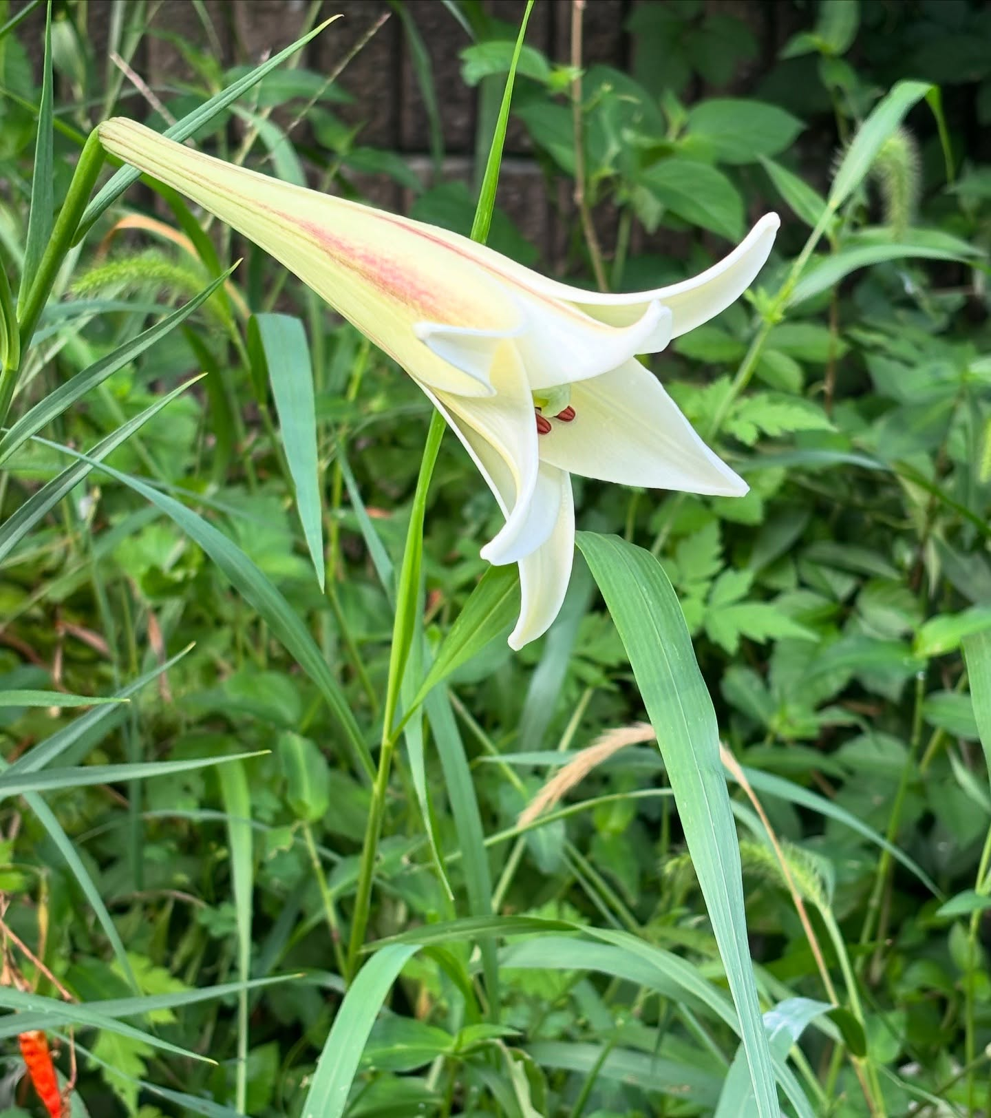 今日のレッスンは、