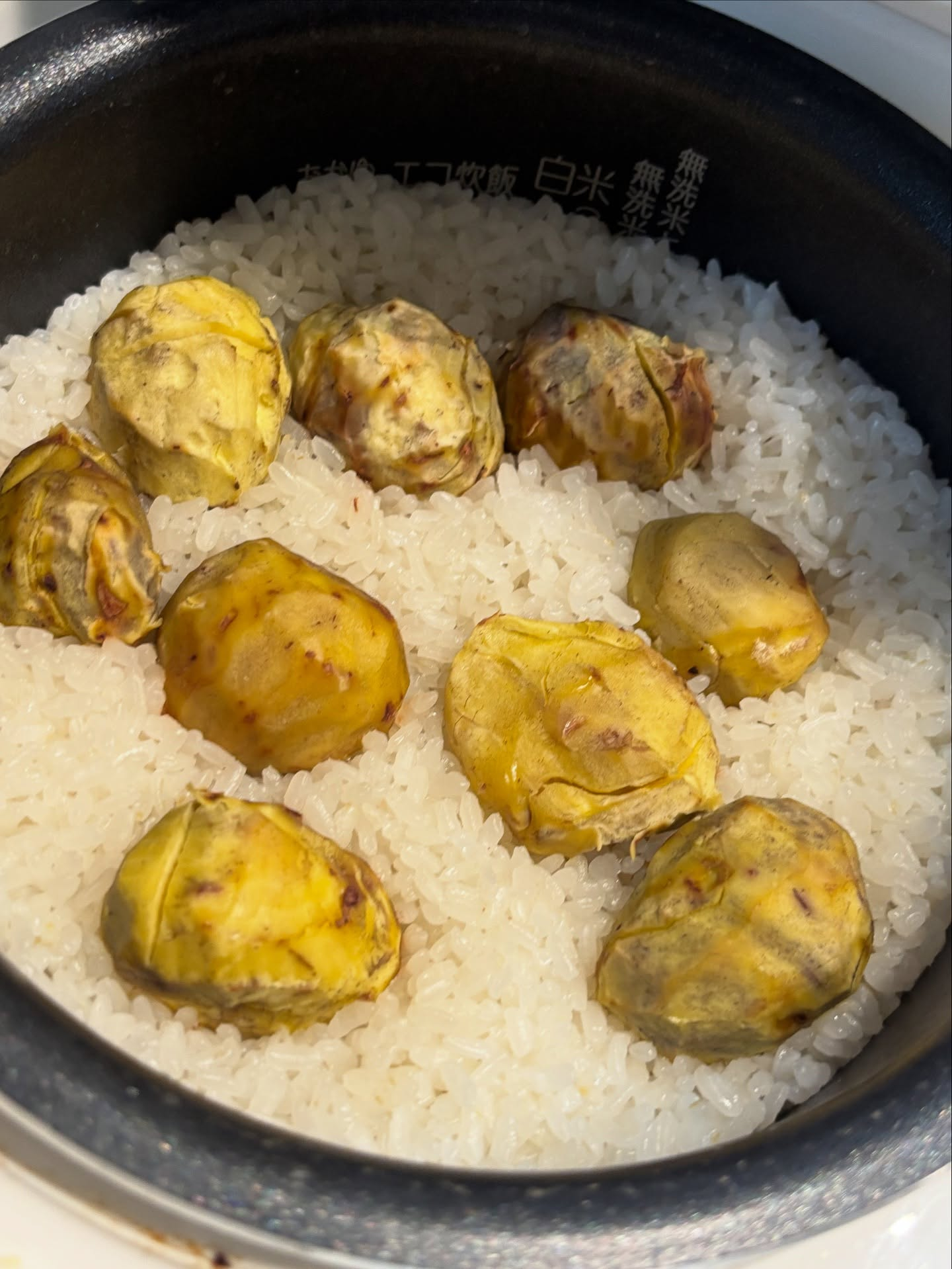 今日のお料理教室は、